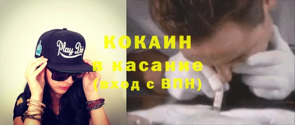 прущие грибы Богородицк