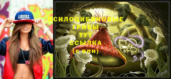 бутират Белокуриха