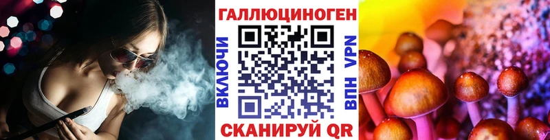 Псилоцибиновые грибы Psilocybe  Билибино 